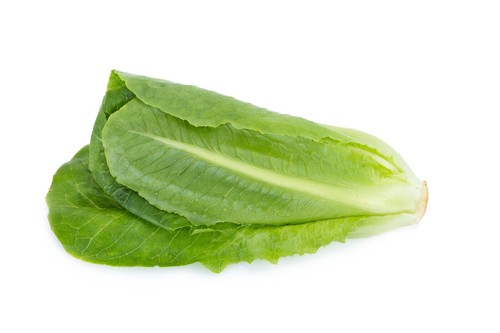 Lettuce winter density seeds - density,