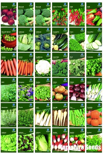 Garden treasures fresh herbs - fresh,