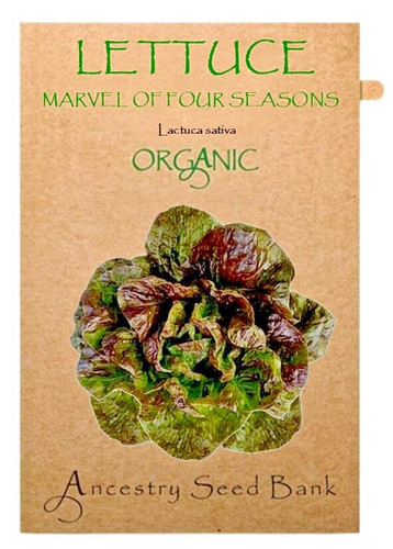 Organic lettuce marvel - 🌱,