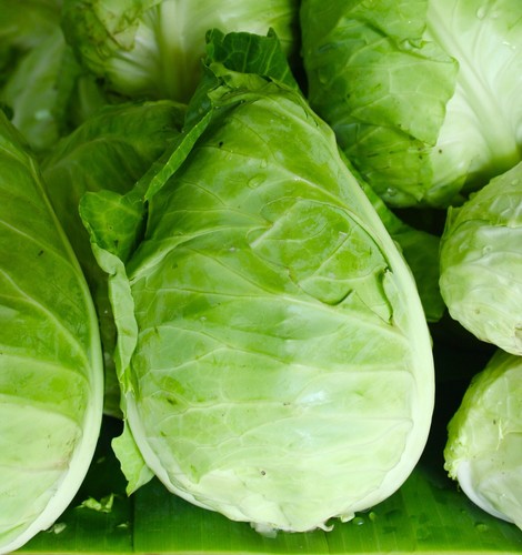 Vegetable cabbage durham - -,