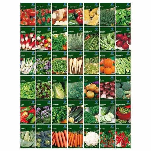 Vegetable seeds herb - vegetable, seeds,