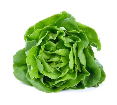 Lettuce arctic king 900 - king,