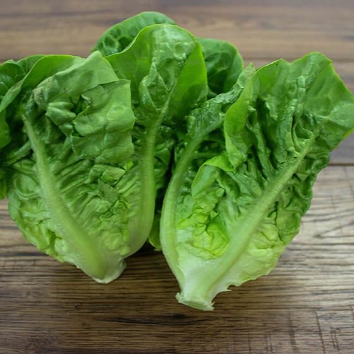 Lettuce little gem seeds grow - lettuce,