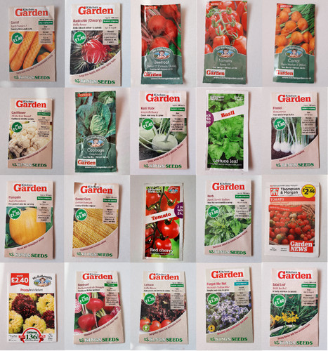 Seeds fresh herbs vegetable - fresh,