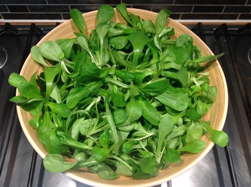 Lambs lettuce corn salad - lambs, 1g