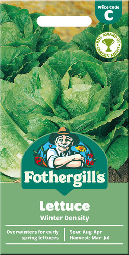 Lettuce seeds winter - seeds, density