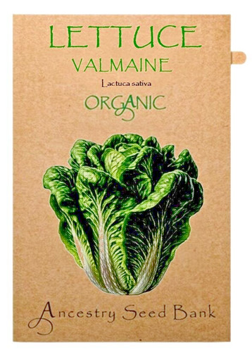 Organic lettuce valmaine - lettuce, 🌱