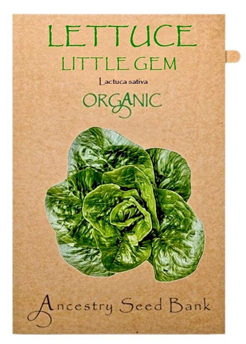 Organic lettuce little - organic, 🌱