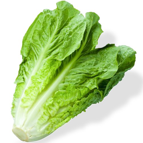 Romaine lettuce seeds - 50,