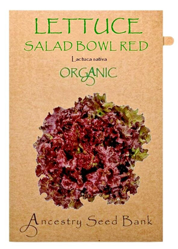 Organic lettuce salad - organic,