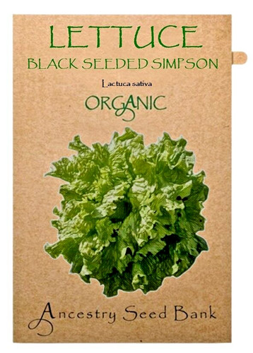 Organic lettuce black - organic,