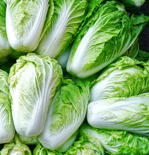 Chinese cabbage hilton 600x - chinese,
