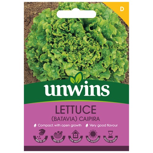 Lettuce caipira - lettuce, |