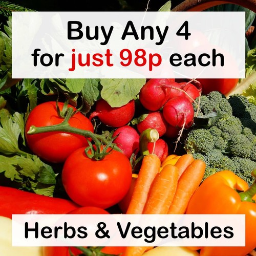 Any for 98p each vegetable - 98p,