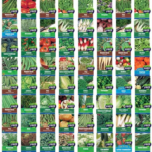 Vegetable seeds herb - vegetable, seeds,