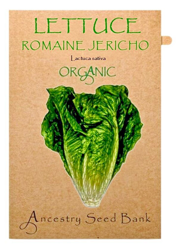 Organic lettuce romaine - organic, 🌱