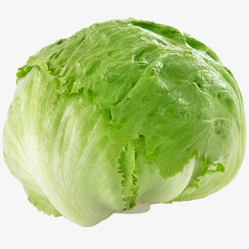100 british giant iceberg - 100,