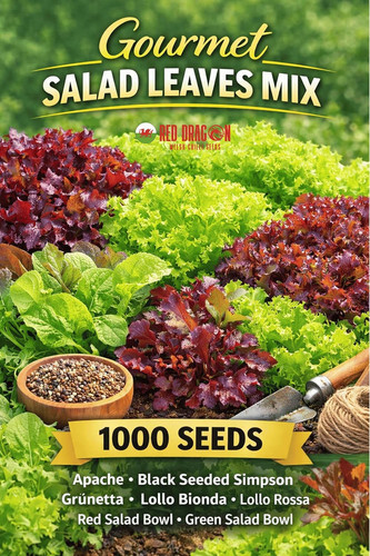 Gourmet salad mix - mix, seeds