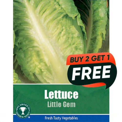 Vegetable seeds lettuce little - seeds,